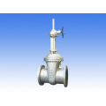 ANSI 16.5 B API600 Asme Cast Steel Wcb Gate Valve